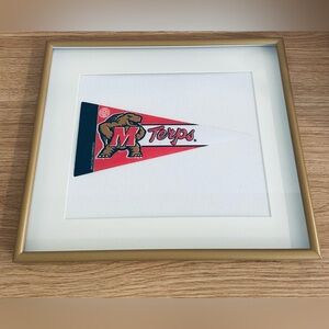 College/University Pennant Flags Framed 11x13